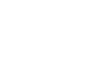 MT Logo white (.EPS)